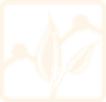 Bond by Sandbox logo